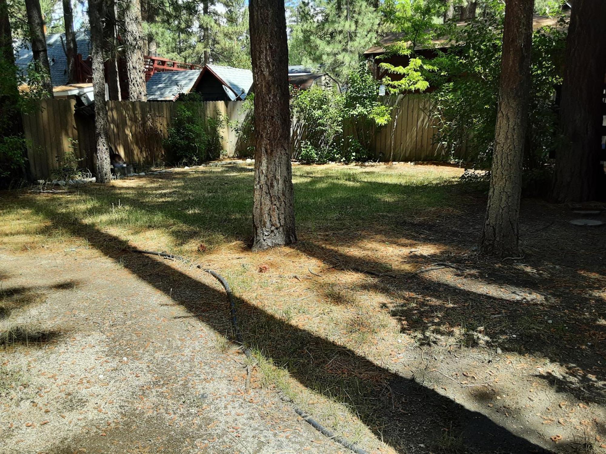 Bearadise - Prime Location For A Family Getaway In The Winter Or Summer Big Bear City Exterior foto
